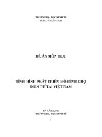 Tình hình phát triển mô hình chợ điện tử tại Việt Nam