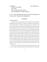 Hoàn thiện hoạt động marketing của công ty viễn thông viettel