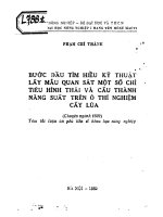 Bước đầu tìm hiểu kỹ thuật lấy mẫu quan sát một số chỉ tiêu hình thái và cấu thành năng suất trên ô thí nghiệm cấy lúa