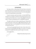 Phân tích tổn thất tải trọng trong thị trường độc quyền hoàn toàn