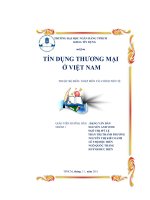 Thực trạng tín dụng thương mại ở việt nam