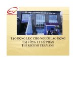 Bài tập thực hành quản trị nhân lực