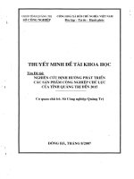 Nghiên cứu định hướng phát các sản phẩm công nghiệp chủ lực của tỉnh Quảng Trị đến 2015, tầm nhìn đến 2020