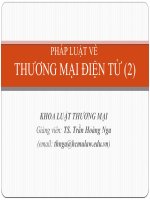 Pháp luật về thương mại điện tử 2