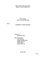 Tấn công sử dụng metasploit