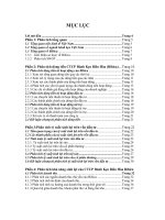 Phân tích tài chính công ty cổ phần bánh kẹo biên hòa bibica (BBC)