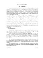 Vấn đề chuyển giá ở việt nam