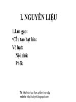 Công nghệ chế biến thực phẩm Sản xuất snack