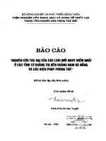 Nghiên cứu tác hại của các loài mối nguy hiểm nhất ở các tỉnh từ Quảng Trị đến Quảng Nam Đà Nẵng và các biện pháp phòng trừ