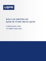 Báo cáo thường kỳ kinh tế vĩ mô trung quốc 6 tháng đầu năm và triển vọng 2013
