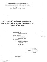Xây dựng một mẫu hình thử nghiệm lớp học sau xóa chữ ở đơn vị cơ sở vùng nông thôn