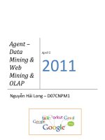 TIỂU LUẬN MÔN HỌC DATA MINING : Agent – Data Mining Web Mining OLAP