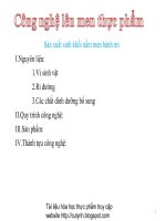 Công nghệ chế biến thực phẩm Sản xuất sinh khối nấm men bánh mì