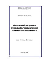 Điều tra thành phần loài họ đơn men (myrsinaceae) ở xã phúc sơn, huyện anh sơn và xã na ngoi, huyện kỳ sơn, tỉnh nghệ an