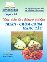 Bác sĩ cây trồng quyển 13 Cây nhãn chôm chôm