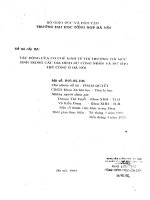 Tác động của cơ chế kinh tế thị trường tới mức sinh trong các gia đình nữ công nhân và nữ thợ thủ công ở Hà Nội