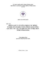 Phân lập và tuyển chọn các dòng vi khuẩn có khả năng phân giải lông gia súc từ các lò mổ gia súc ở địa bàn tỉnh Vĩnh Long