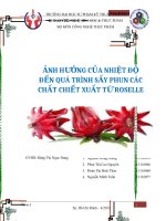 ẢNH HƯỞNG CỦA NHIỆT ĐỘ ĐẾN QUÁ TRÌNH SẤY PHUN CÁC CHẤT CHIẾT XUẤT TỪ ROSELLE