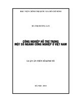 công nghiệp hỗ trợ trong một số ngành công nghiệp ở việt nam