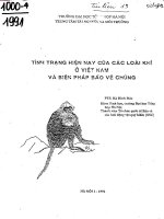 Tình trạng hiện nay của các loài khỉ ở Việt Nam và biện pháp bảo vệ chúng