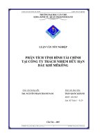 Phân tích tình hình tài chính tại công ty TNHH dầu khí mekong