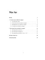 luận văn thạc sĩ đặc trưng chern của nhóm lie compact