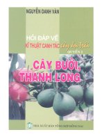 Hỏi đáp về kỹ thuật canh tác cây ăn trái tập 2 cây bưởi