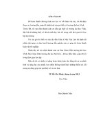 Ảnh hưởng của độ trễ thời gian của các xung bơm lên phân bố năng lượng bơm