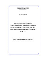 Đặc điểm sinh học, sinh thái của ong sympiesis sp1  (hymenoptera eulophidae) ngoại ký sinh sâu cuốn lá lạc đầu đen archips asiaticus walsingham ở huyện nghi lộc, nghệ an