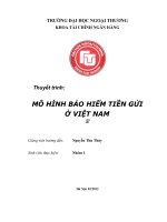 MÔ HÌNH BẢO HIỂM TIỀN GỬI  Ở VIỆT NAM