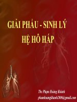 Sinh lý hô hấp (thầy khánh)