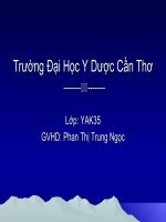 Báo cáo: Hoạt Chất Ô Nhiễm Hóa chất bảo vệ thực vật