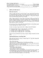 công ty cổ phần thép việt ý bản thuyết minh báo cáo tài chính từ 1 tháng 1 năm 2012 đến 31 tháng 12 năm 2012