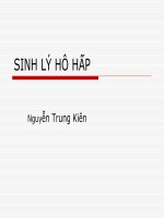 sinh lý hô hấp (thầy kiên)