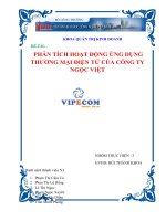 phân tích hoạt động ứng dụng thương mại điện tử của công ty ngọc việt