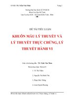 khuôn mẫu lý thuyết và lý thuyết thực chứng , lý thuyết hành vi