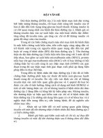 Nghiên cứu tình trạng kháng insulin và mức độ kiểm soát một số chỉ số ở bệnh nhân đái tháo đường týp 2 có tổn thương thận (tóm tắt)