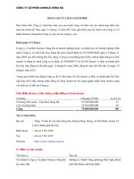 công ty cp someco sông đà báo cáo ban tổng giám đốc báo cáo kiểm toán tài chính hợp nhất bảng cân đối kế toán báo cáo kết quả hoạt động kinh doanh năm 2012