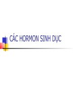 Bài giảng sinh lí hormon sinh dục