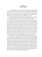 Tìm hiểu quy trình  sản xuất tinh bột sắn tại nhà máy FOCOCEV thừa thiên huế