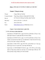 TÌM HIỂU VỀ HỆ THỐNG LƯỚI ĐIỆN CỦA CÔNG TY ĐIỆN LỰC THỦ ĐỨC