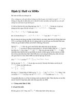 Định lý Hall và SDRs