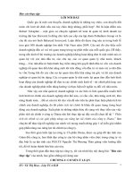 phân tích tài chính và giải pháp nâng cao năng lực tài chính của công ty diana