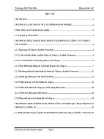 giải pháp nâng cao hiệu quả hoạt động tài chính công ty cổ phần vinaconex