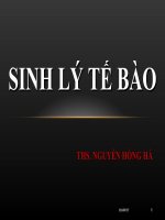 Sinh lý tế bào Nguyễn Hồng Hà