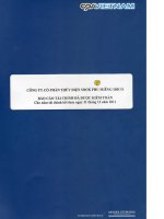 công ty cổ phần thủy điện srok phu miêng idico báo cáo tài chính đã được kiểm toán cho năm tài chính kết thúc 31 tháng 12 năm 2011