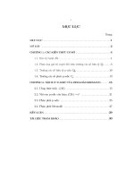 Luận văn thạc sĩ nội suy p - adic của zeta - hàm riemann