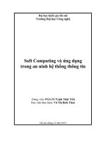 Soft Computing và ứng dụng trong an ninh hệ thống thông tin