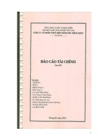 công ty cổ phần thủy điện srok phu miêng idico báo cáo tài chính năm 2010