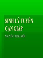 4. sinh lý tuyến cận giáp (thầy kiên)